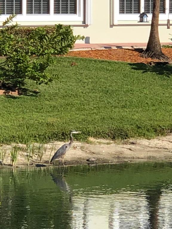 ROSEWOOD COURT SUBDIVISION - Residential