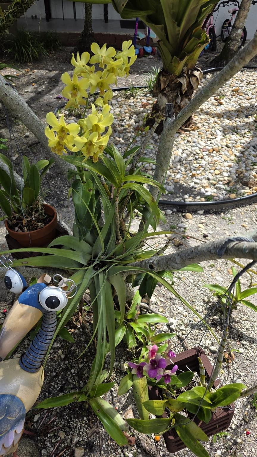 Riverside Park - Residential Lease