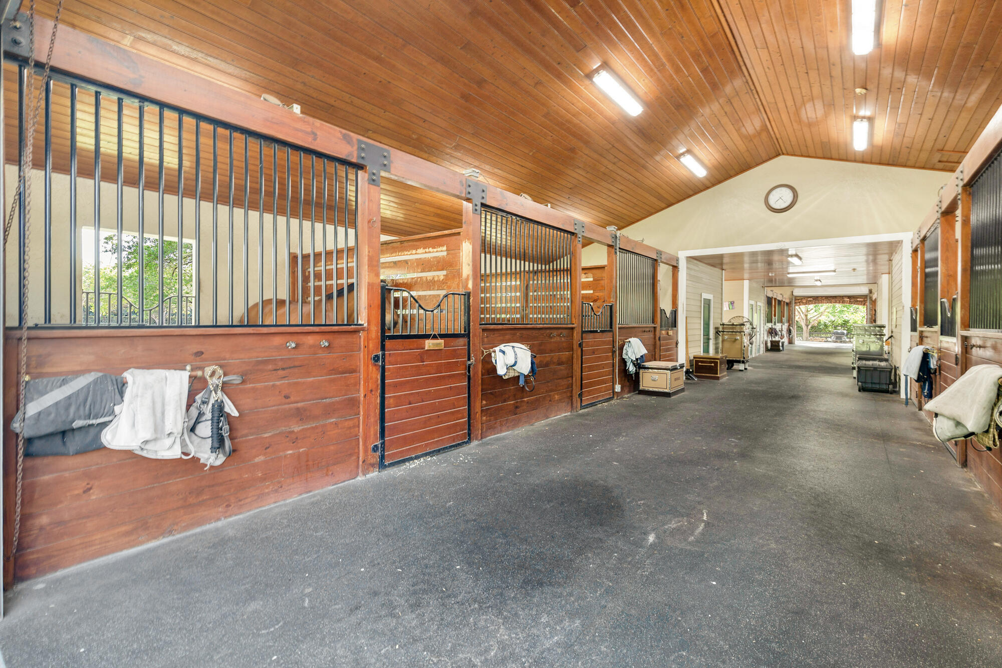 SADDLE TRAIL PARK OF WELLINGTON - Residential