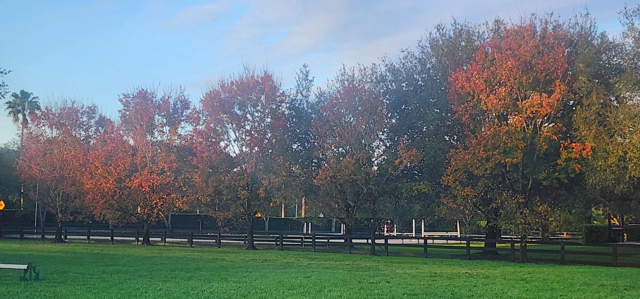 SADDLE TRAIL PARK OF WELLINGTON - Residential