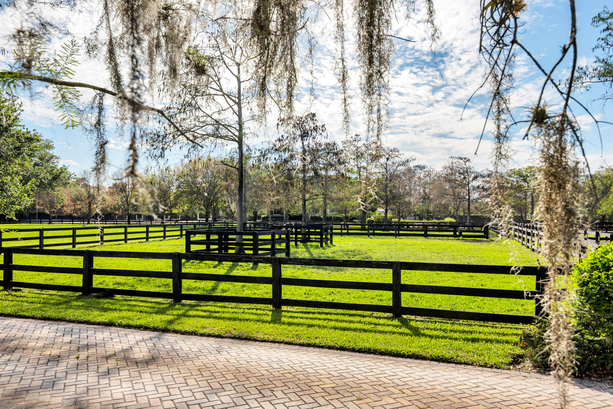 SADDLE TRAIL PARK OF WELLINGTON - Residential