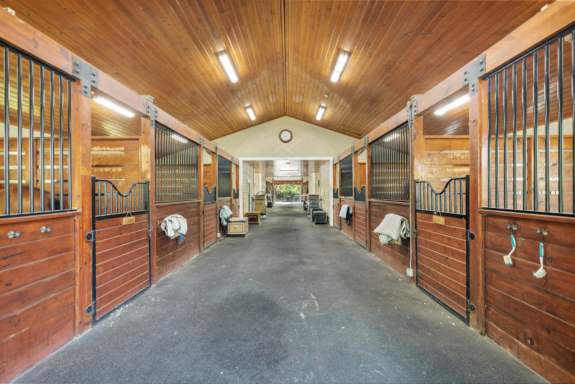 SADDLE TRAIL PARK OF WELLINGTON - Residential