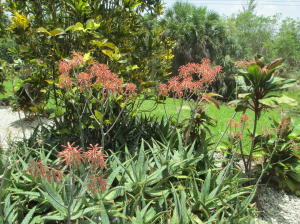 century Village - Residential Lease