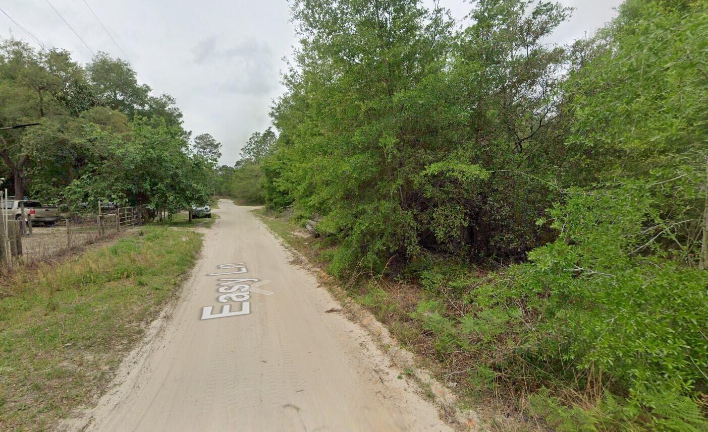 113 Easy Lane