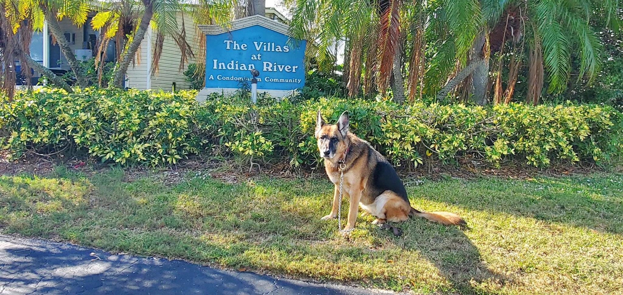 VILLAS AT INDIAN RIVER - Residential Lease