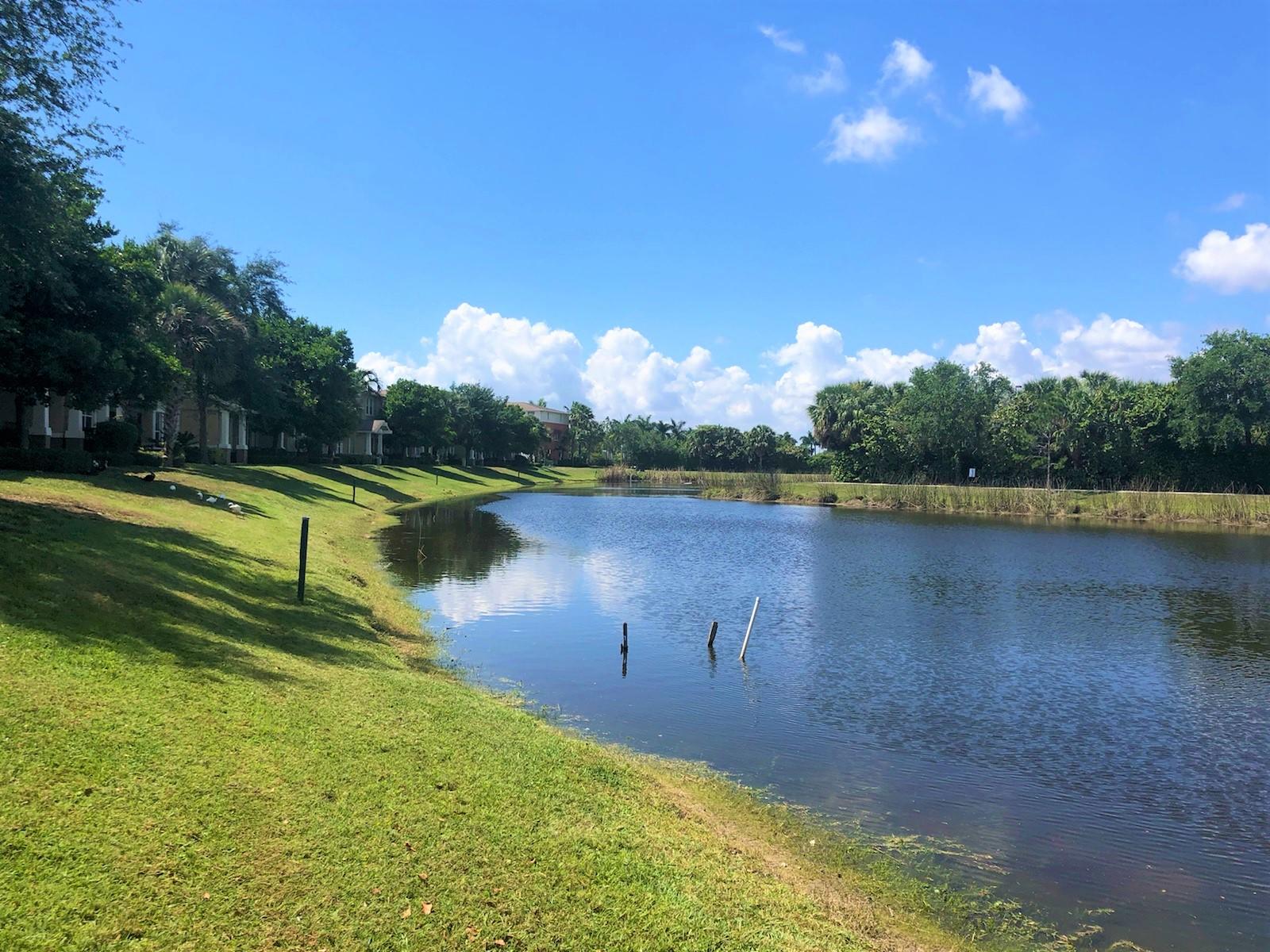 CITYSIDE CONDO - Residential Lease