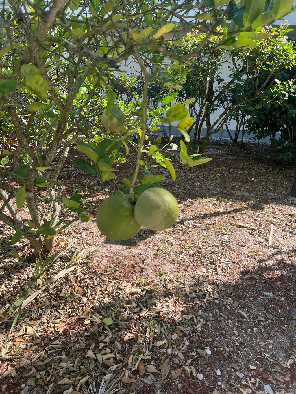 Photo of 2302 Sunrise Boulevard #3-201, Fort Pierce, FL 34982 (MLS # R11162040)