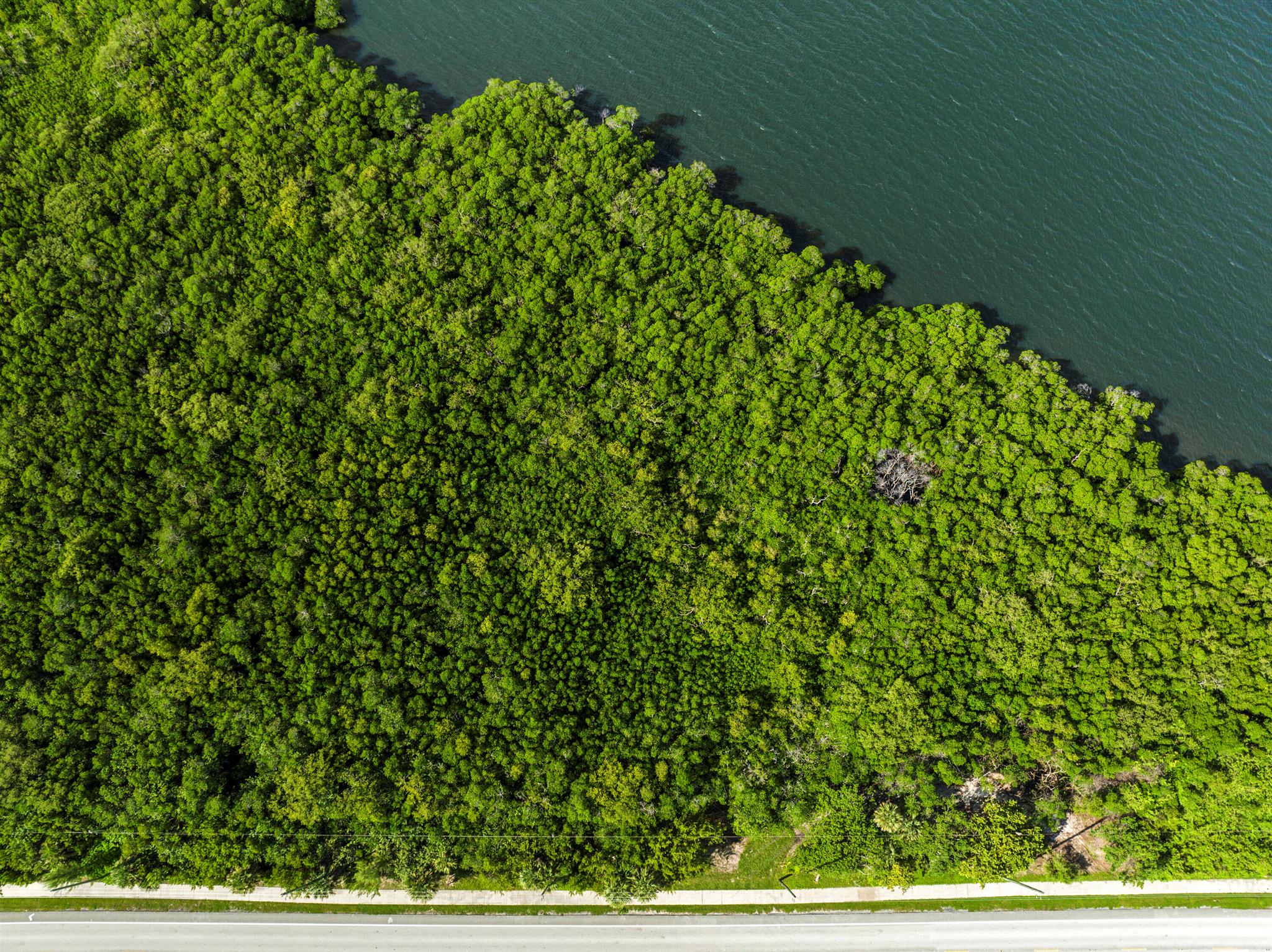 Stuart, Florida 34996, United States, ,Land,Active,209537