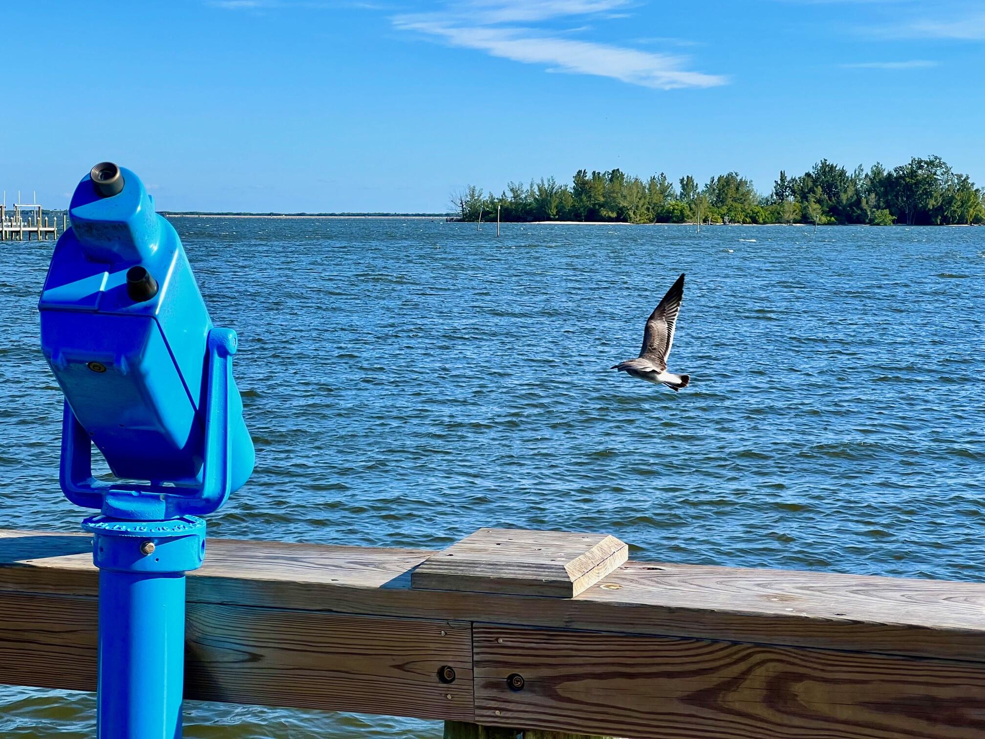 Sebastian Highlands - Land