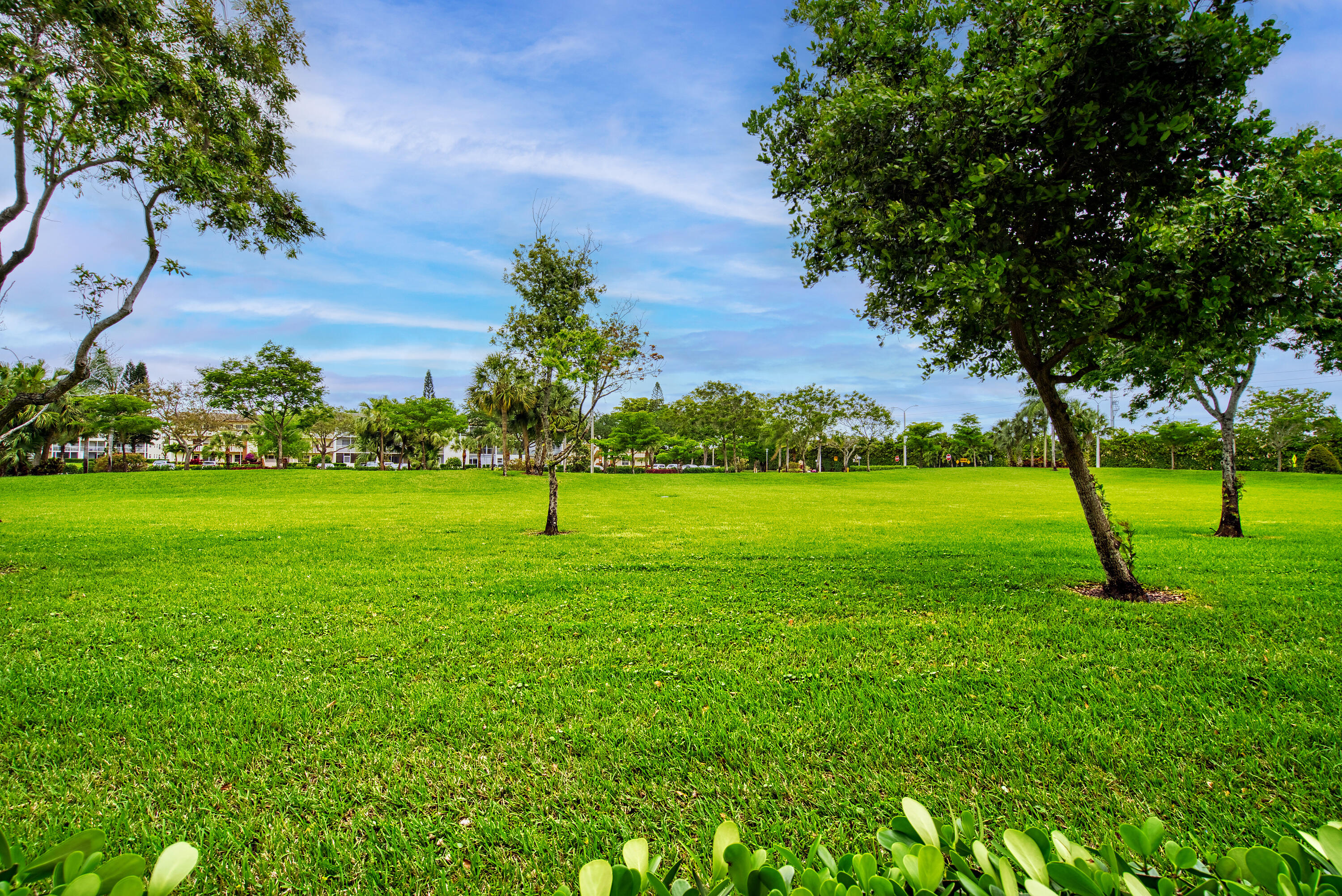 LINCOLN AT CENTURY VILLAGE CONDO - Residential