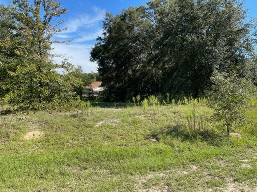 Looking for the perfect spot to invest or build your dream home? This beautiful lot offers endless possibilities! Nestled in a peaceful, up-and-coming area surrounded by open space and newer homes, you'll enjoy privacy and tranquility with no HOA restrictions. Whether you're looking for a smart investment or the perfect place to bring your vision to life, this is your opportunity to claim a piece of Florida's sunshine and charm. Don't wait, this hidden gem won't last long! Let's make it yours.