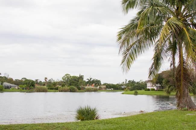 GREENWAY VILLAGE NORTH CO - Residential Lease