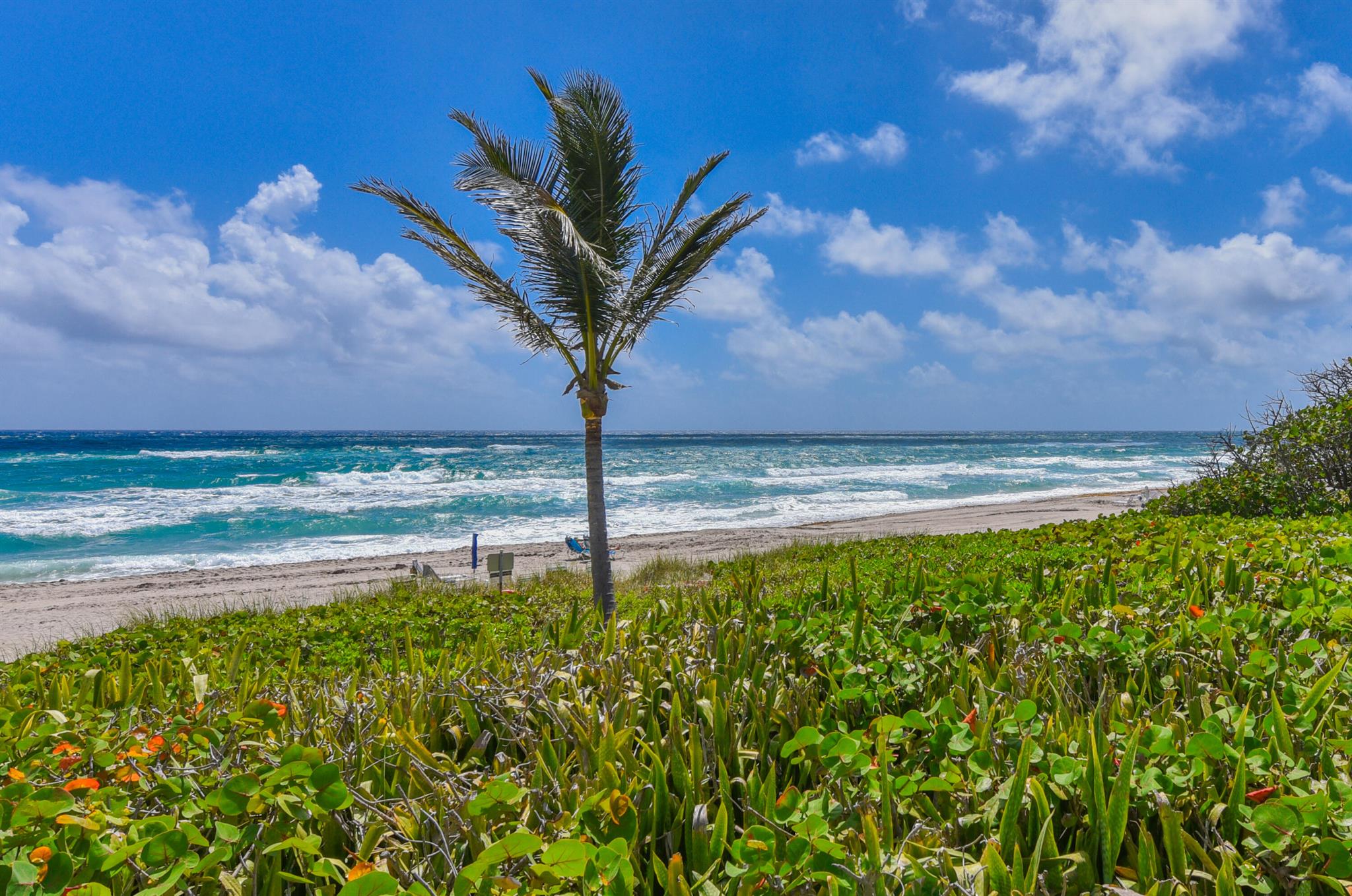 SEAGATE OF HIGHLAND CONDO - Residential