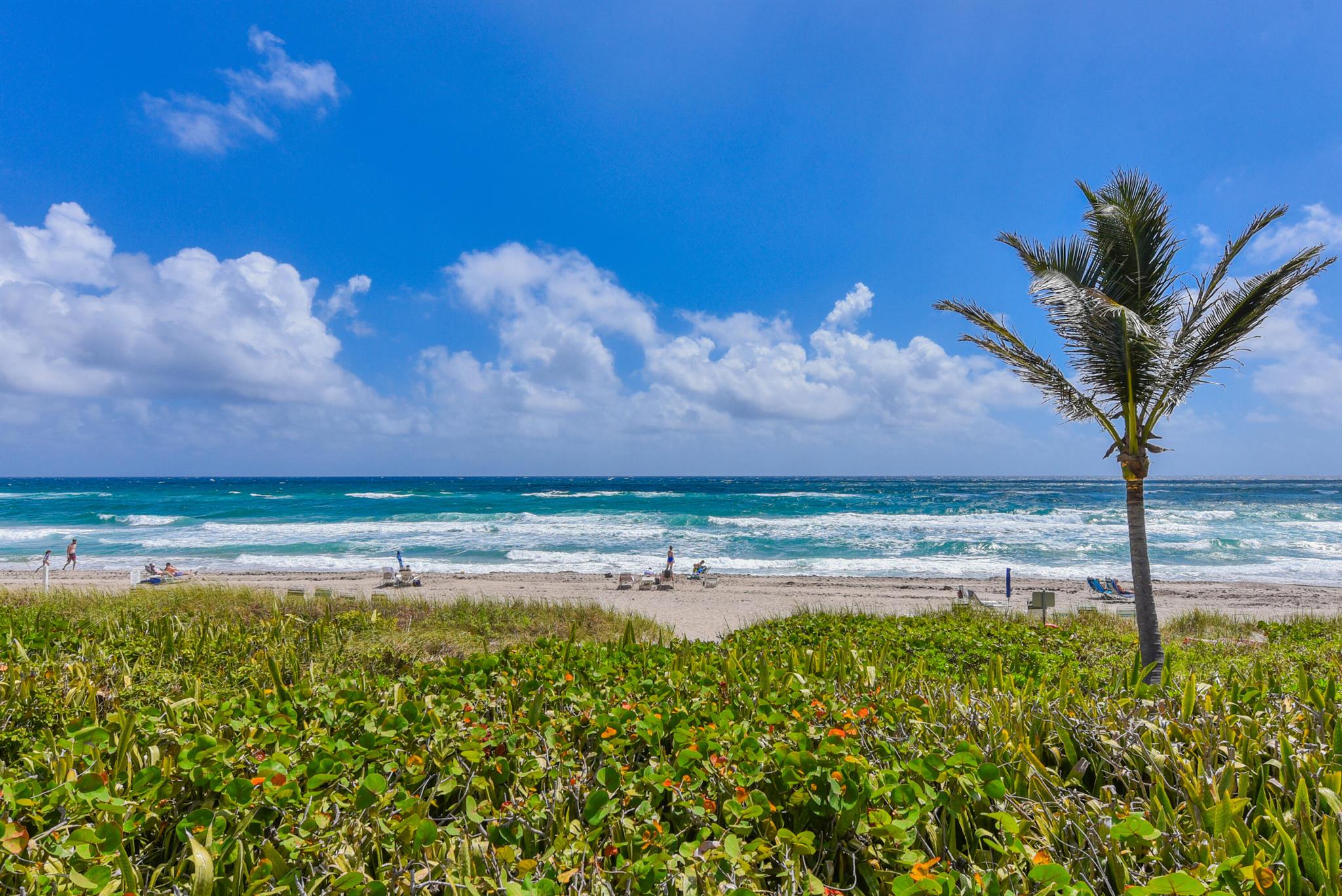 SEAGATE OF HIGHLAND CONDO - Residential