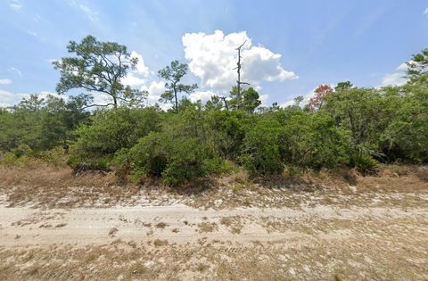 920 Western Boulevard Lake Placid FL 33852