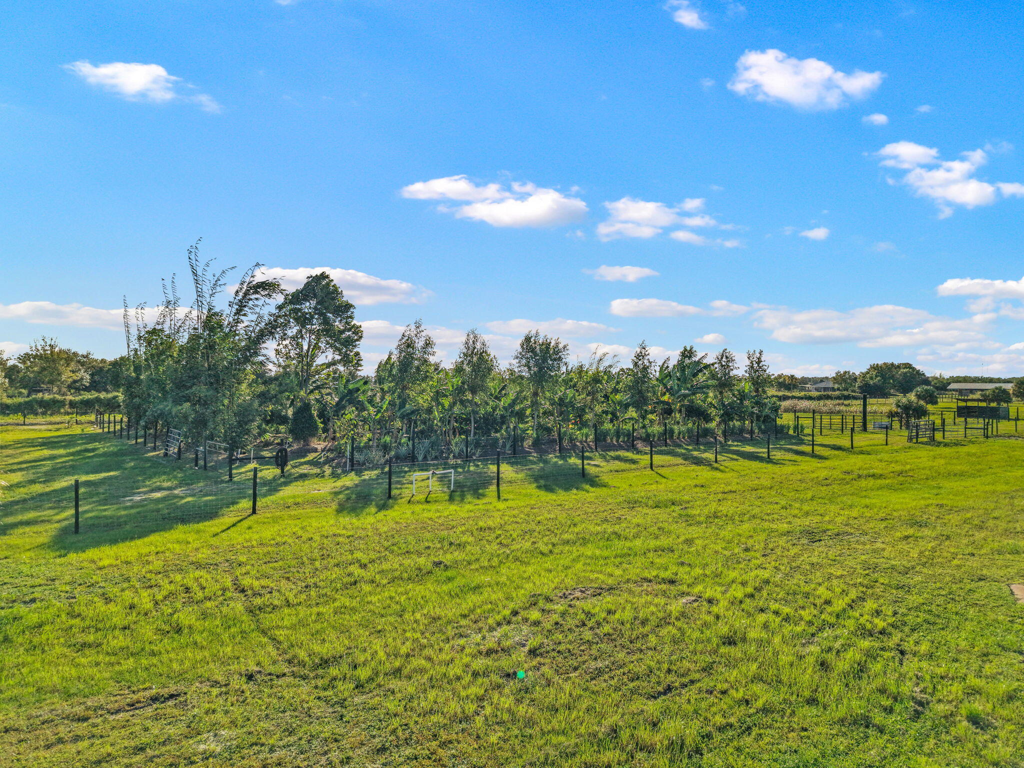 Santa Rosa Groves - Land