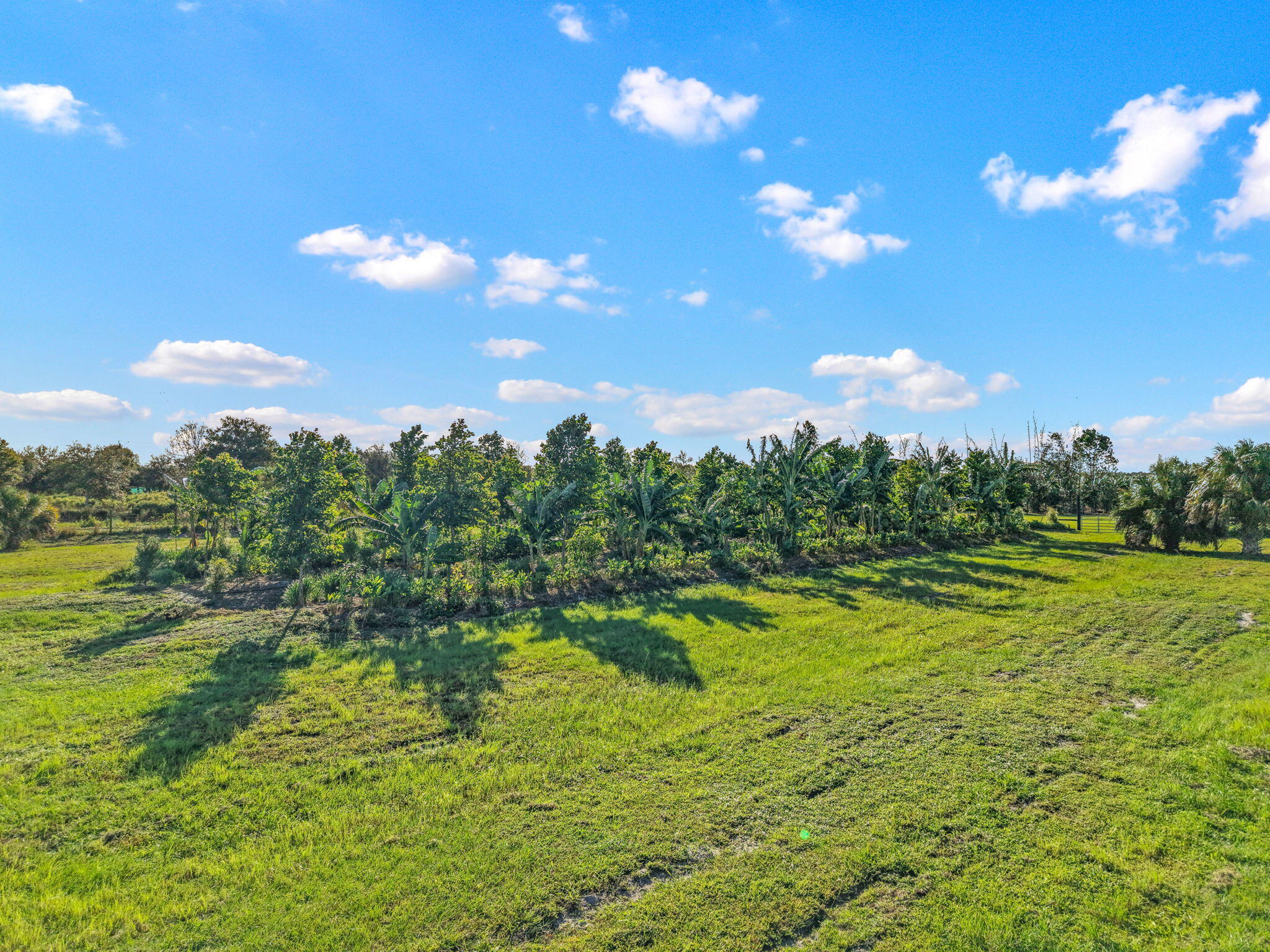 Santa Rosa Groves - Land