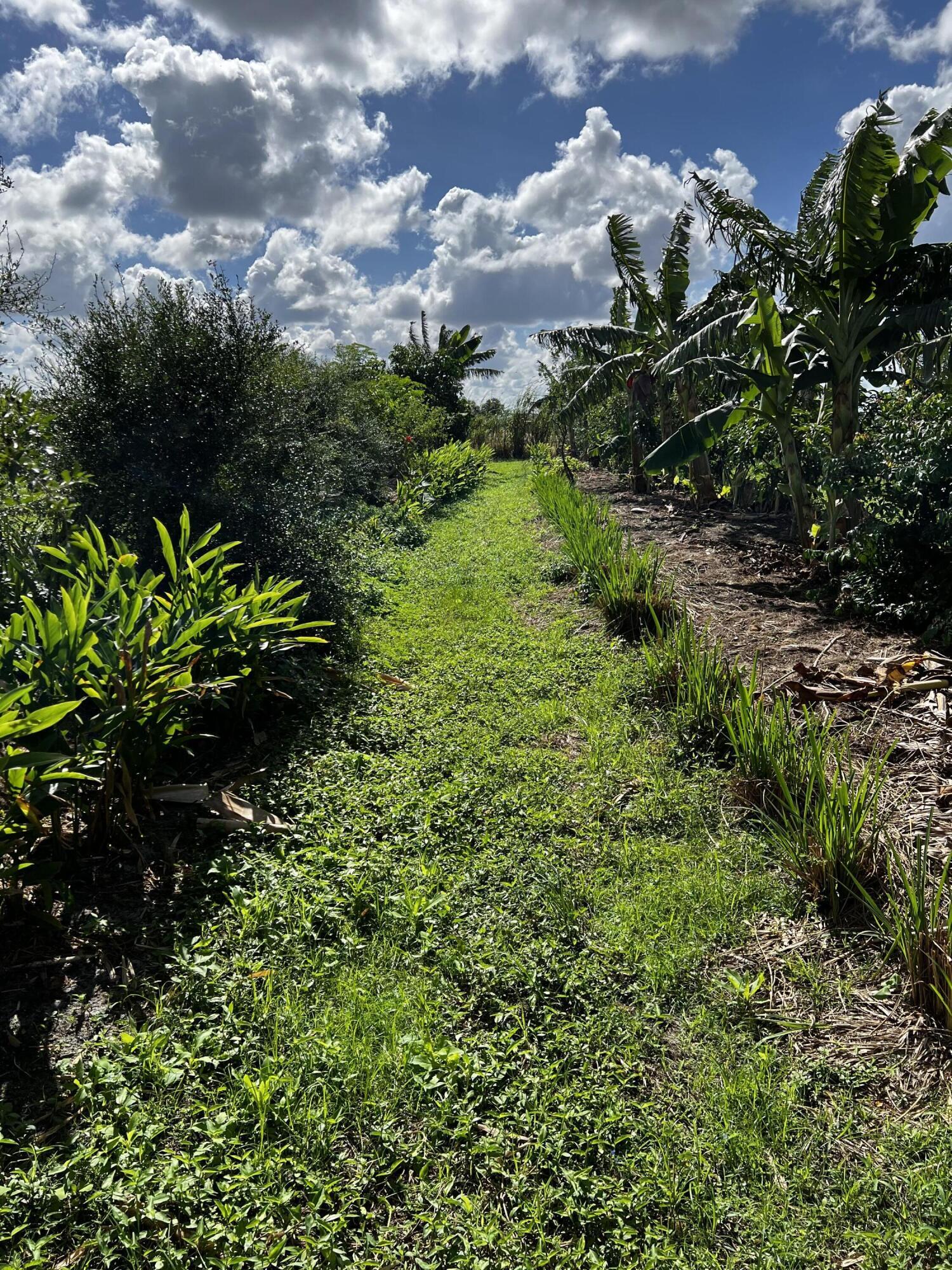 Santa Rosa Groves - Land