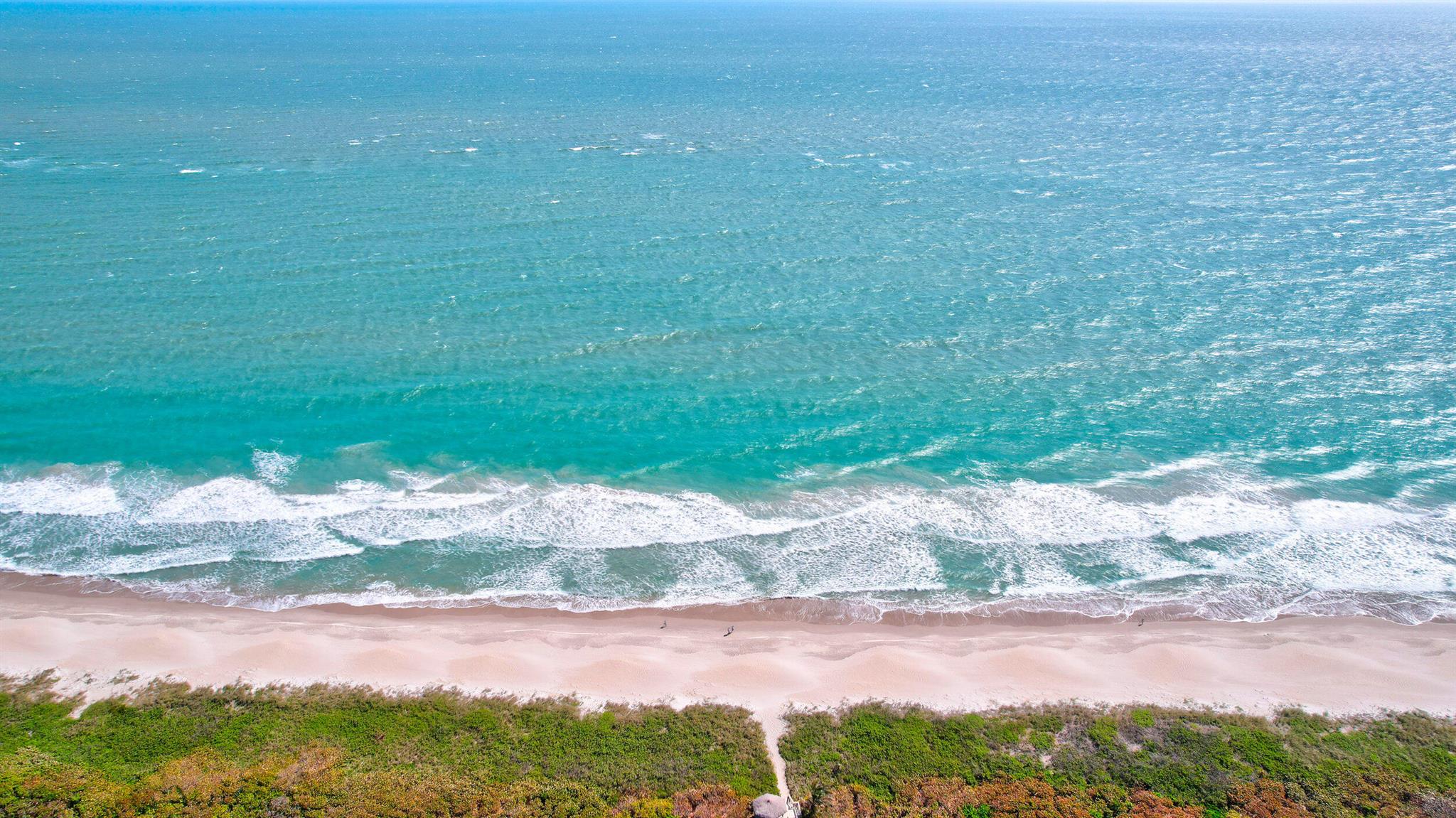5059 N Highway A1a 804
