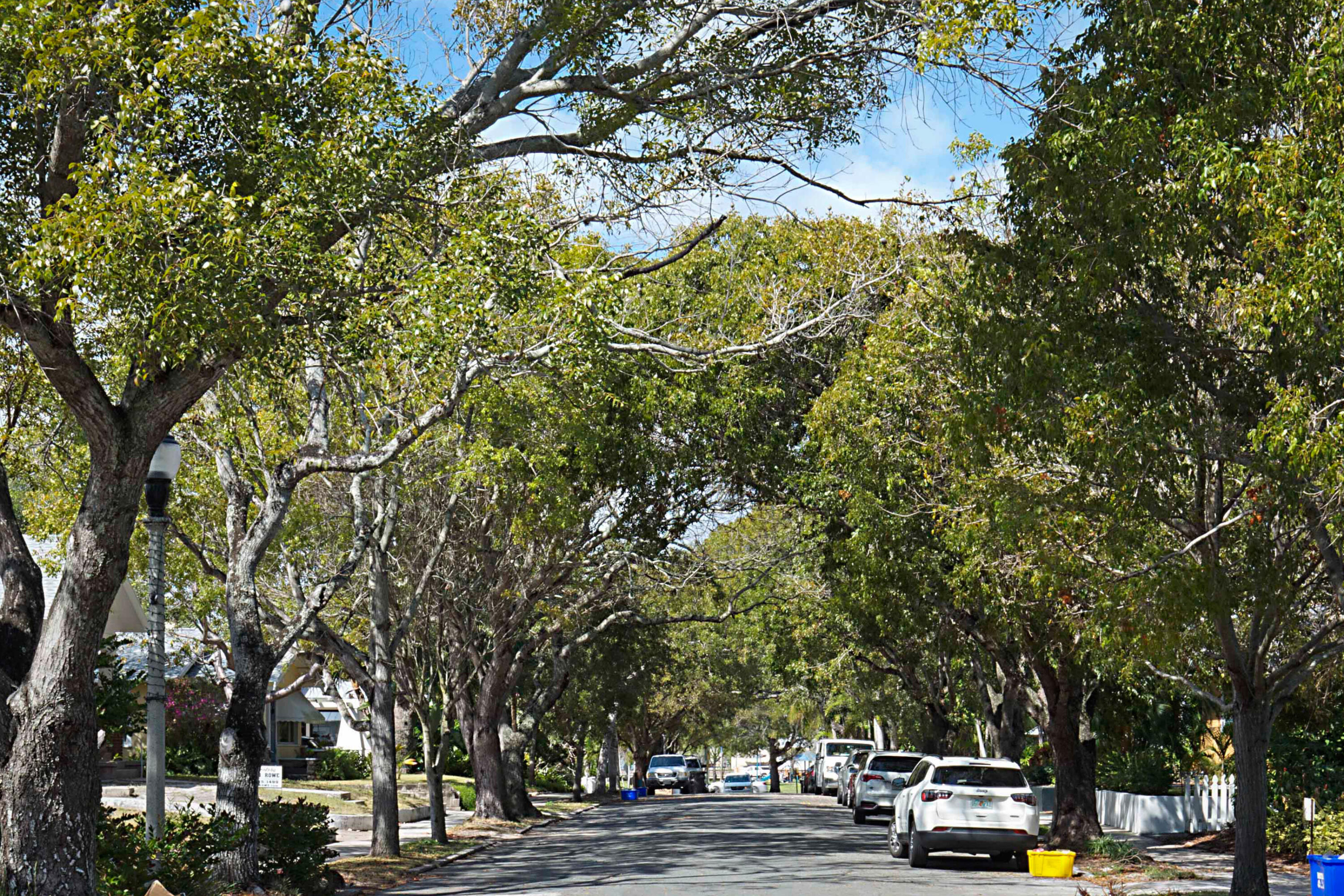 GRANDVIEW HEIGHTS - Residential Lease