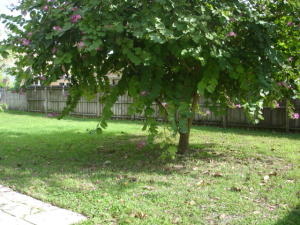 Guilford Villas, SOUTH SHORE NO 4 OF WELLINGTON - Residential Lease