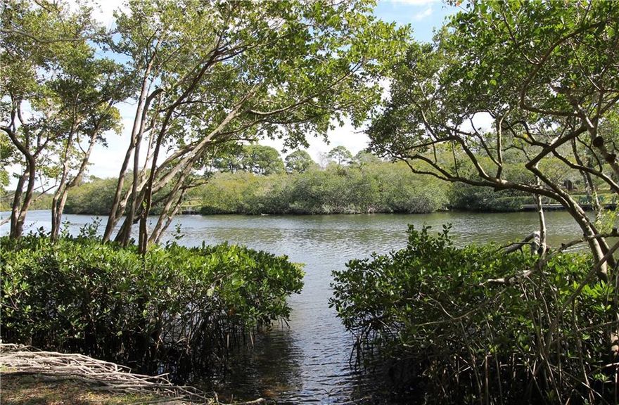 WOW! Best street in Jupiter Landings, RARELY available! 4/2/2 WF pool home on maintained preserve on SW Fork of Loxahatchee River. Ocean access, one fixed bridge. Large cul-de-sac in back of neighborhood, no thru traffic. Community dock, boat ramp, boat storage (short waitlist) just down the street. Impeccable home, light, bright. All new SS kitchen appliances incl. gas range. Quartz countertops. Brand new updated lighting throughout home from Capitol Lighting. Brand new A/C and hot water heater. Freshly painted interior. New carpet upstairs. New master bath. Jupiter Landings is a true hidden gem... established community w/sidewalks, streetlights, minutes to I-95/Turnpike and beach. A-rated schools, Limestone Creek Elementary 1/2 mile away. Truly move-in-ready home in an amazing location!! Rare opportunity to own a home on one of the nicest streets in Jupiter Landings. Houses on this street rarely come on the market. Mature landscaping. Outdoor shower with hot water. Fenced-in back yard. Walking paths take you from Jupiter Landings thru Shores Pointe to Limestone Creek Elementary, less than half-a-mile away. Explore nearby trails in Limestone Preserve and Jupiter Community Park. Enjoy your morning coffee sitting by the pool, or take a stroll through the meandering oak trees in the preserve. Beautiful home in a peaceful, serene setting.