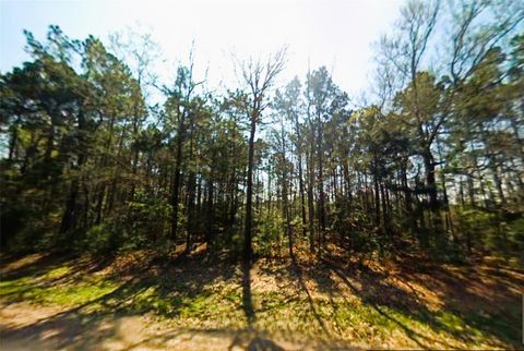 37460 BANKSIDE LIVINGSTON, Other City - Not In The State Of Florida TX 77351