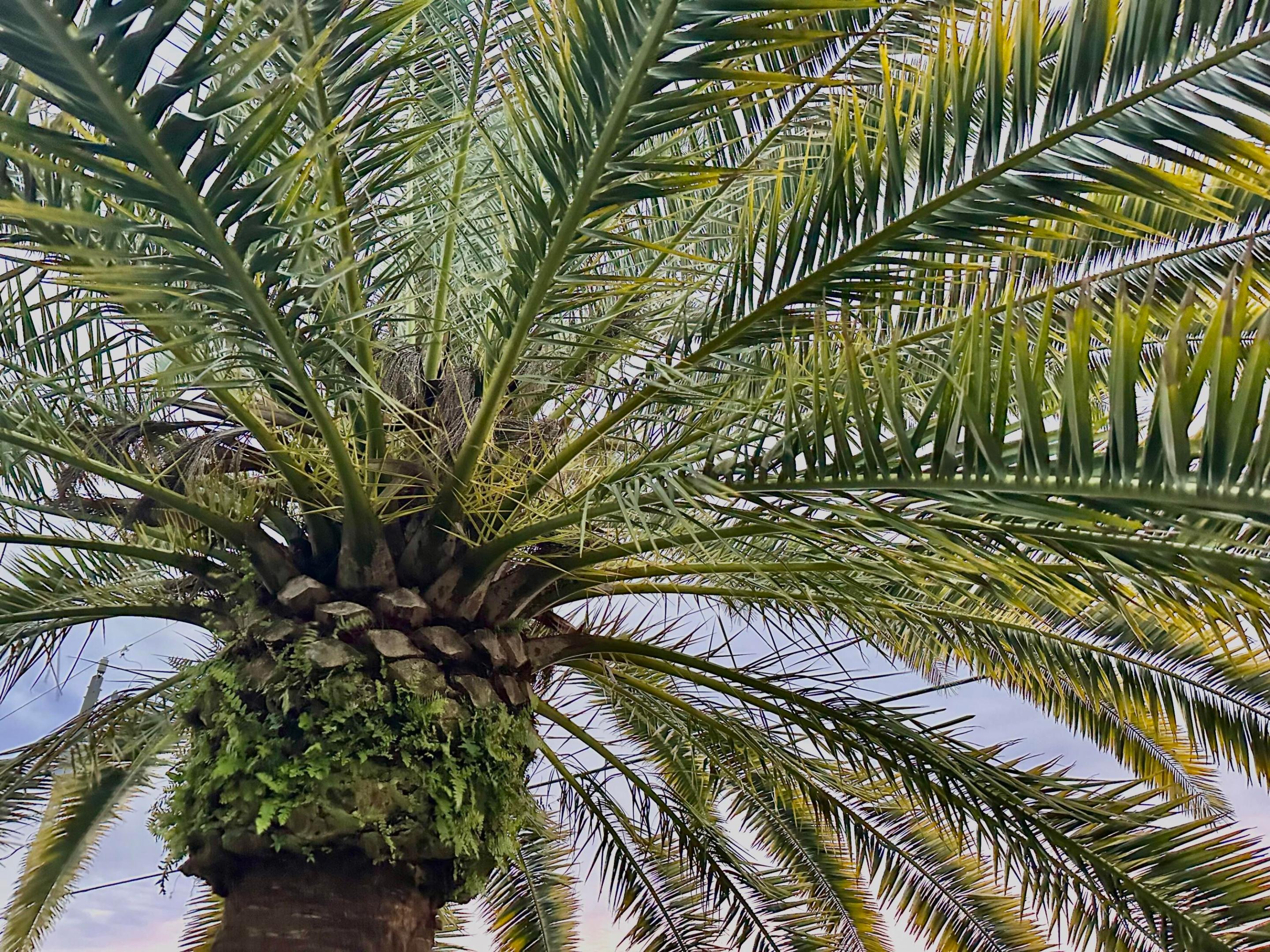 PORT ST LUCIE SECTION 21 - Residential