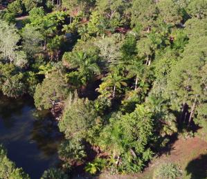 PRIVATE 2.42 ACRE SITE READY TO BUILD WITH A 6' BLACK CHAIN LINK FENCEOWNER FINANCING AVAILABLE