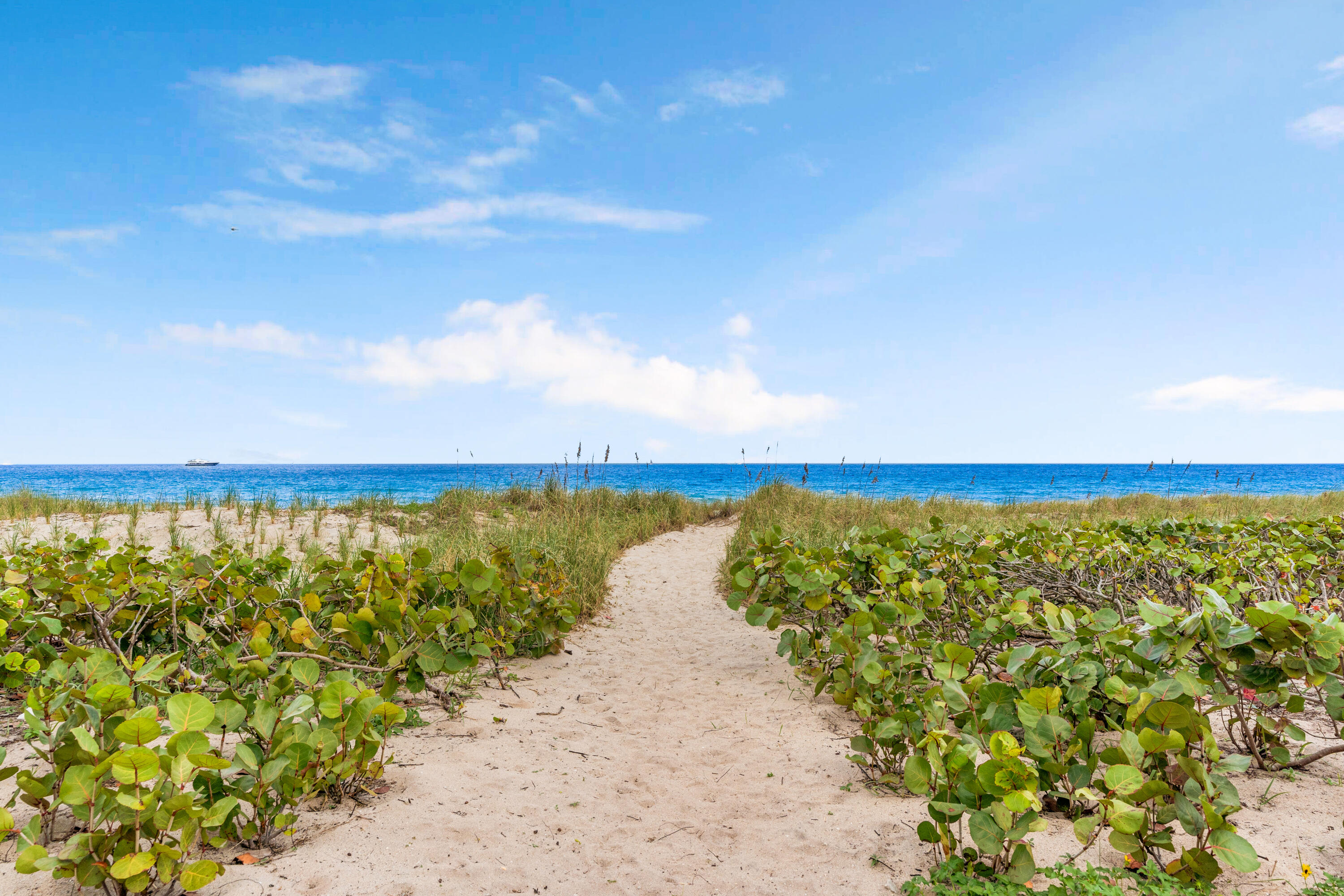 WALTON TR IN - Residential