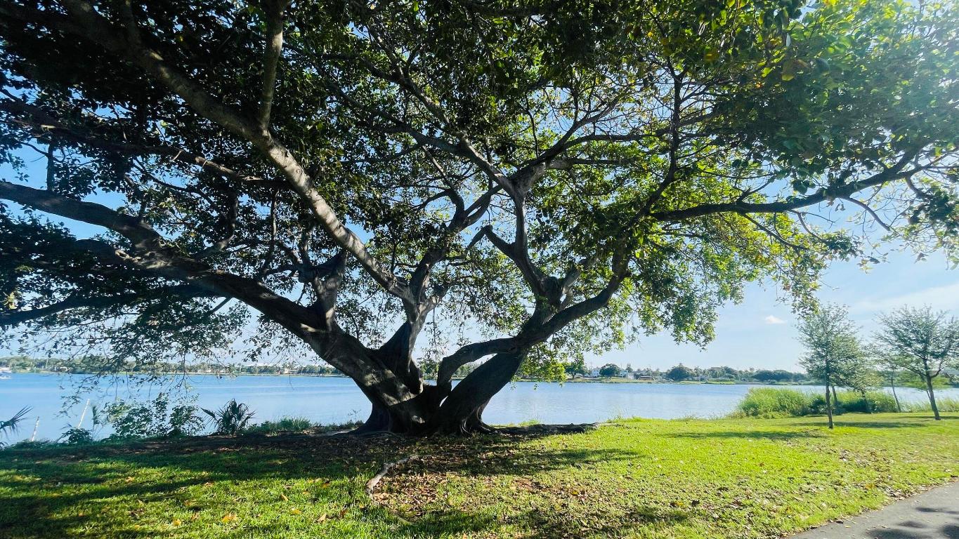 LAKESIDE POINT APT 4 CONDO - Residential