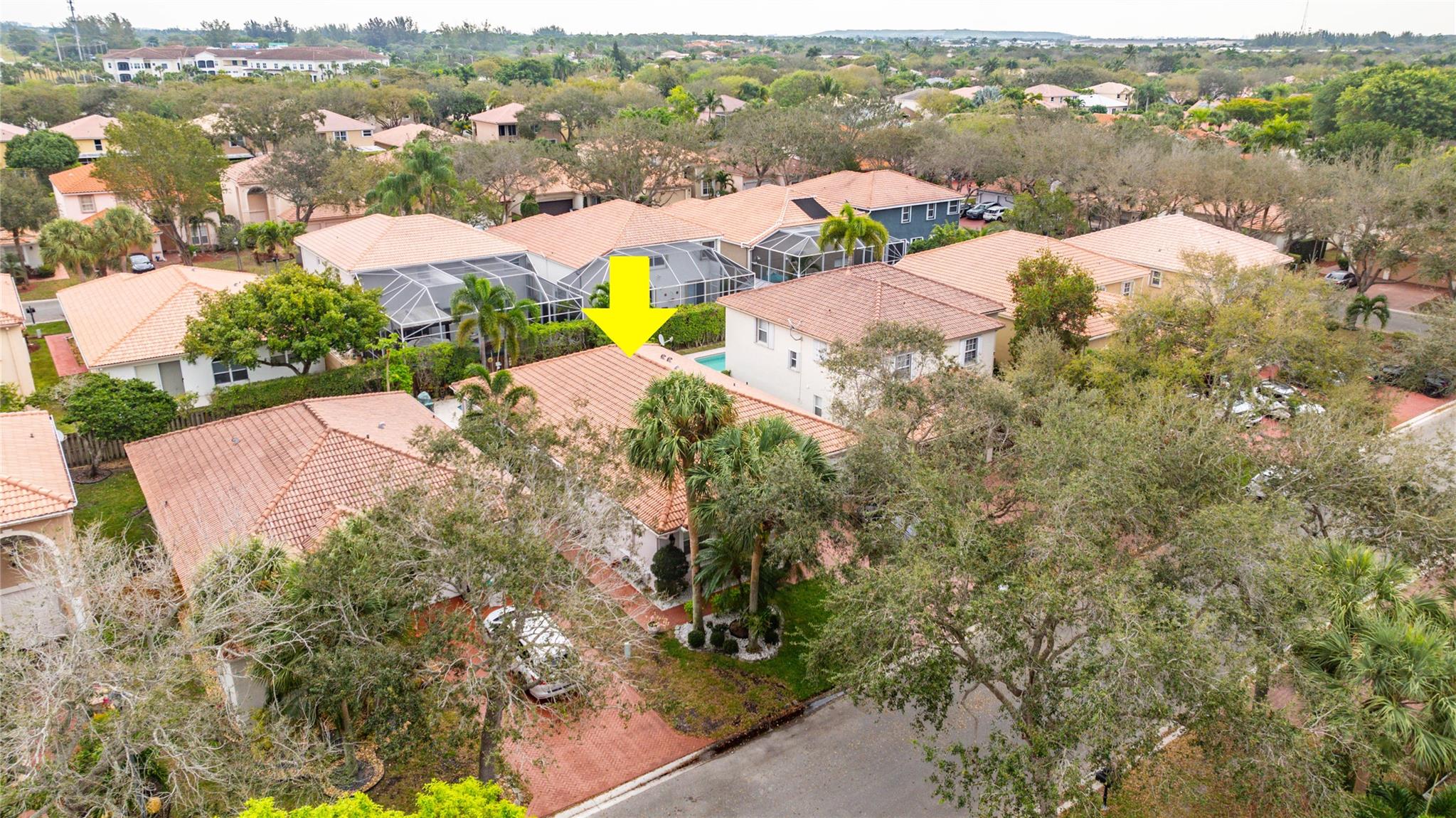 Castle Rock A Rep - Residential