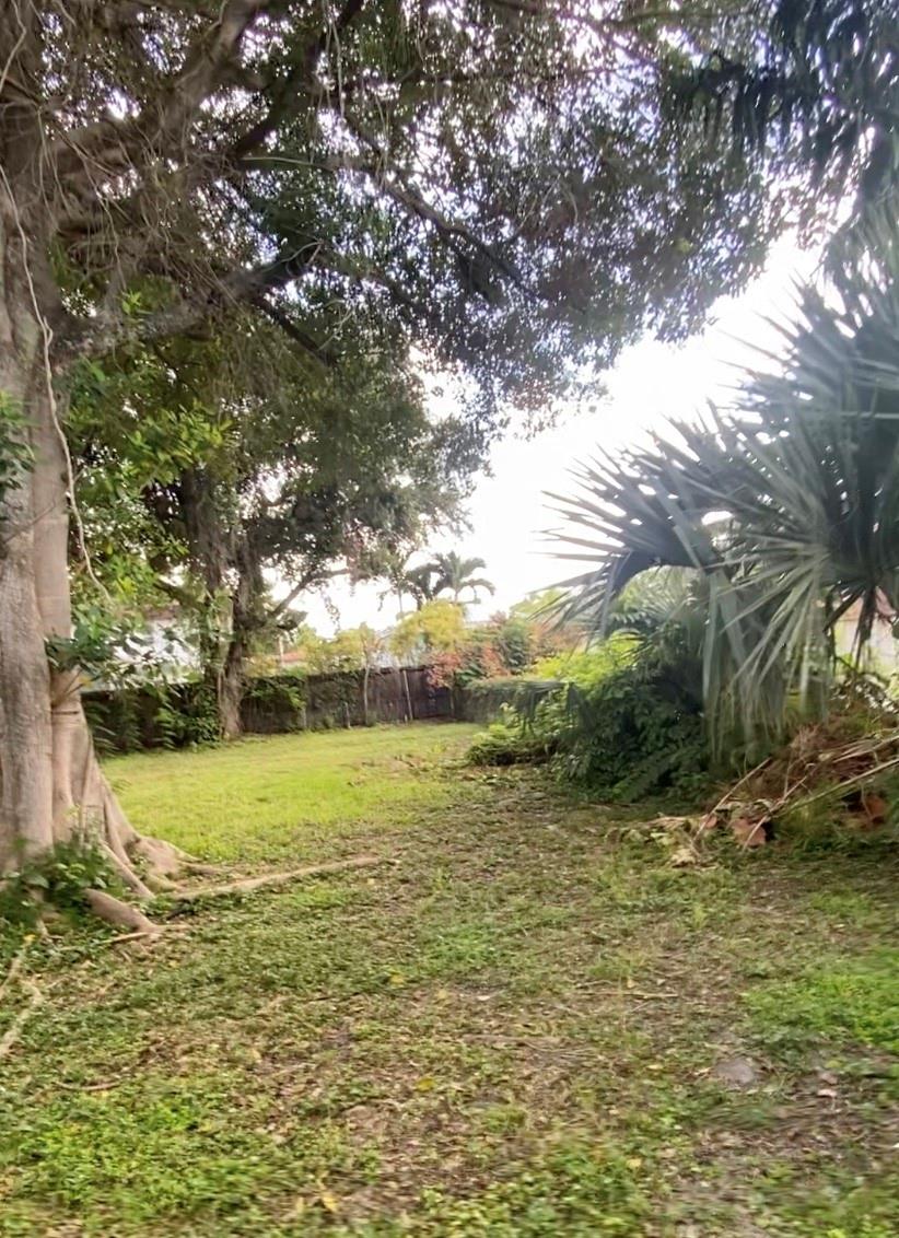 Frank Add To Hollywood 7- - Land