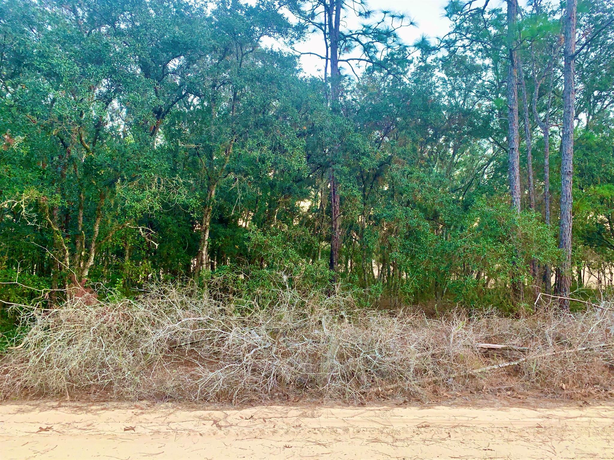 INVERNESS VILLAGE UNIT 3 - Land