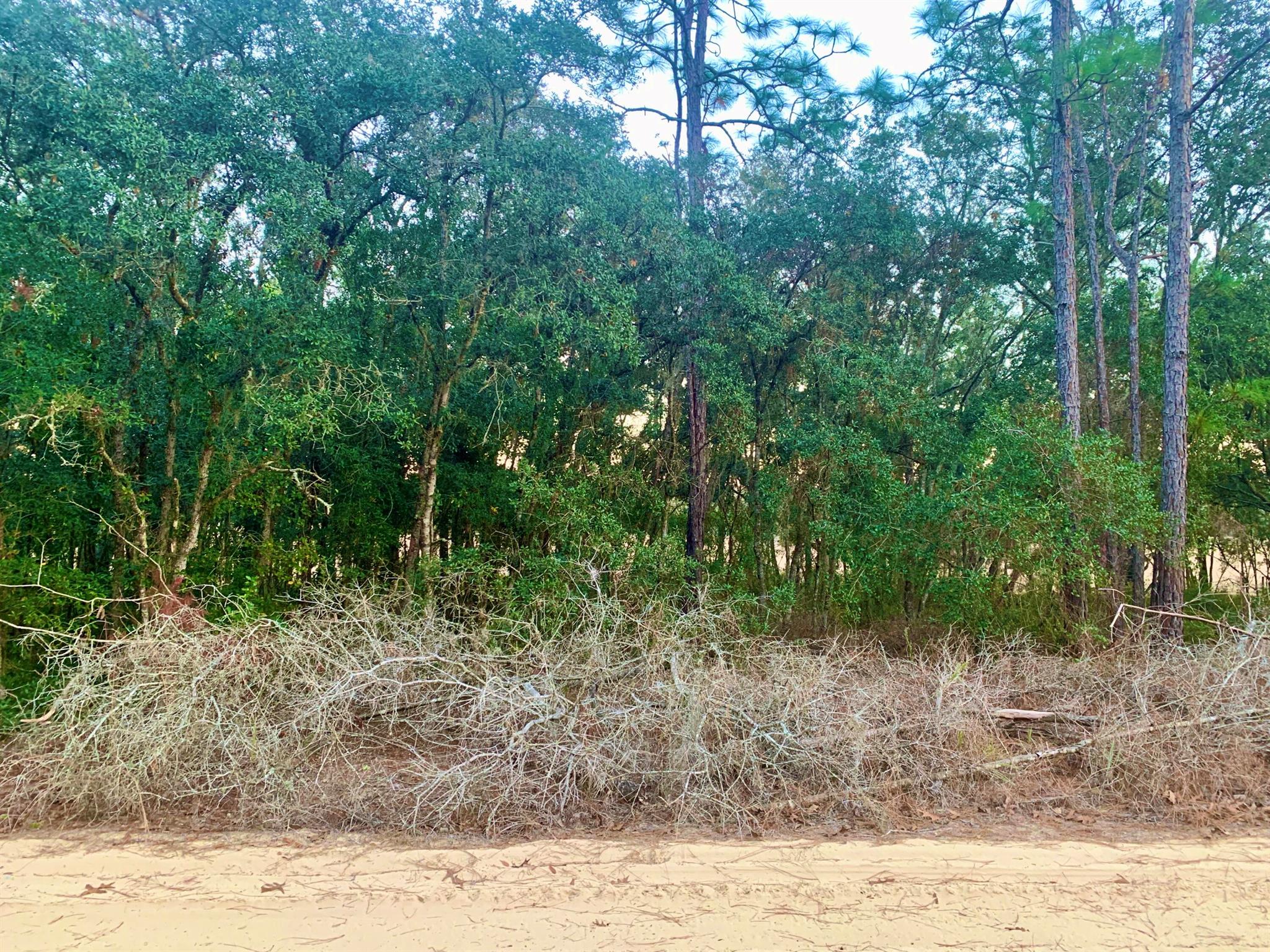 INVERNESS VILLAGE UNIT 3 - Land