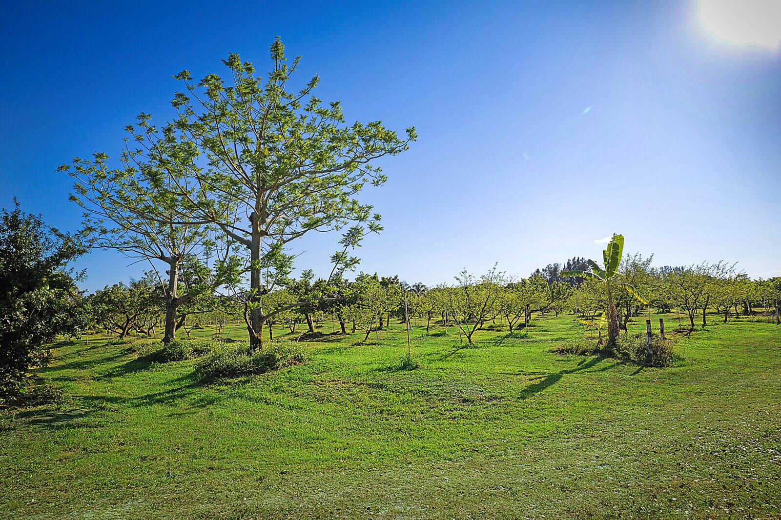LOXAHATCHEE GROVES - Residential