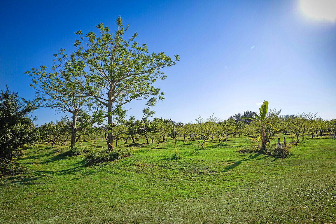LOXAHATCHEE GROVES - Residential