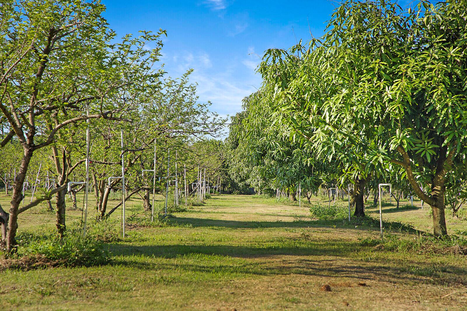 LOXAHATCHEE GROVES - Residential