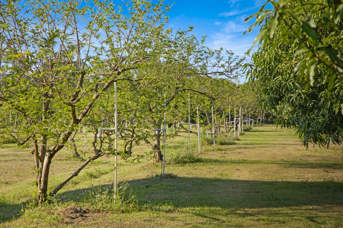 LOXAHATCHEE GROVES - Residential