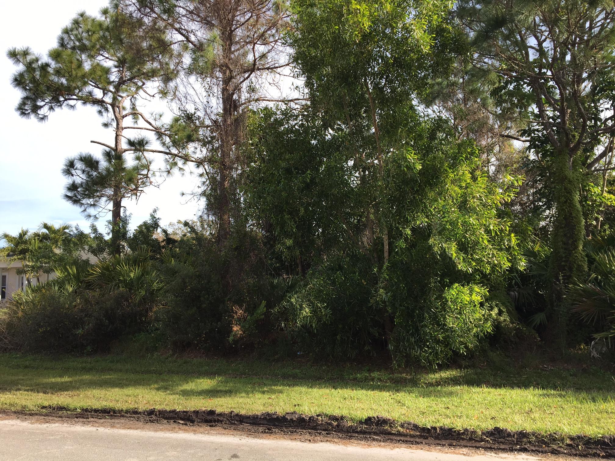 Nice interior wooded lot for building. Lot next door is also available to make your property a total of .46 acres with the purchase of the neighboring lot. RX-10397758 is neighboring lot infoMotivated Seller!!!WATER/SEWER ASSESSMENTS HAVE BEEN PAID IN FULL!!!!