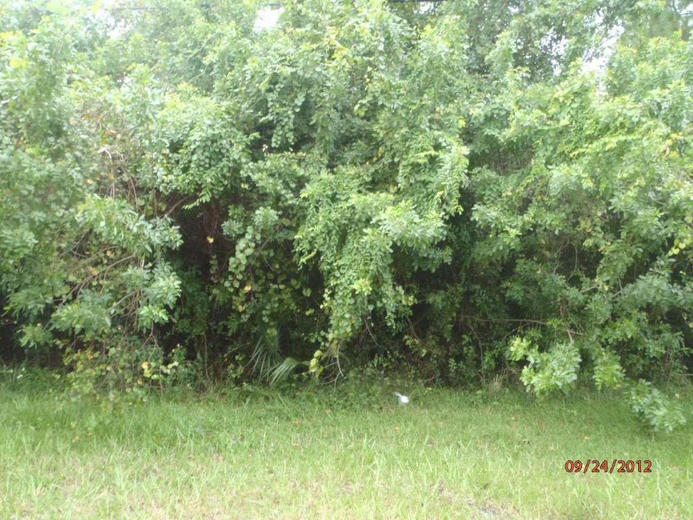PORT ST LUCIE SECTION 33 - Land