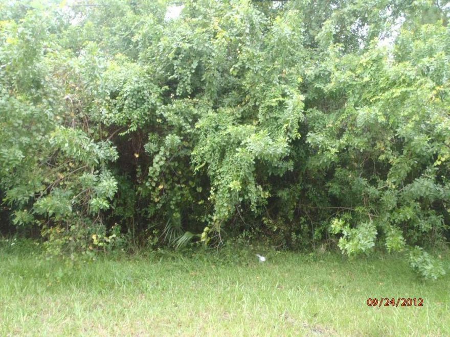 This lot is available separately or can be purchased with the adjacent lot at 1102 Paar for a total of .56 acre.  The homesite is future ROI (residential, office, institutional)land use conversion area. Lot with drainage canal to rear. ty. Conveniently located to I-95.