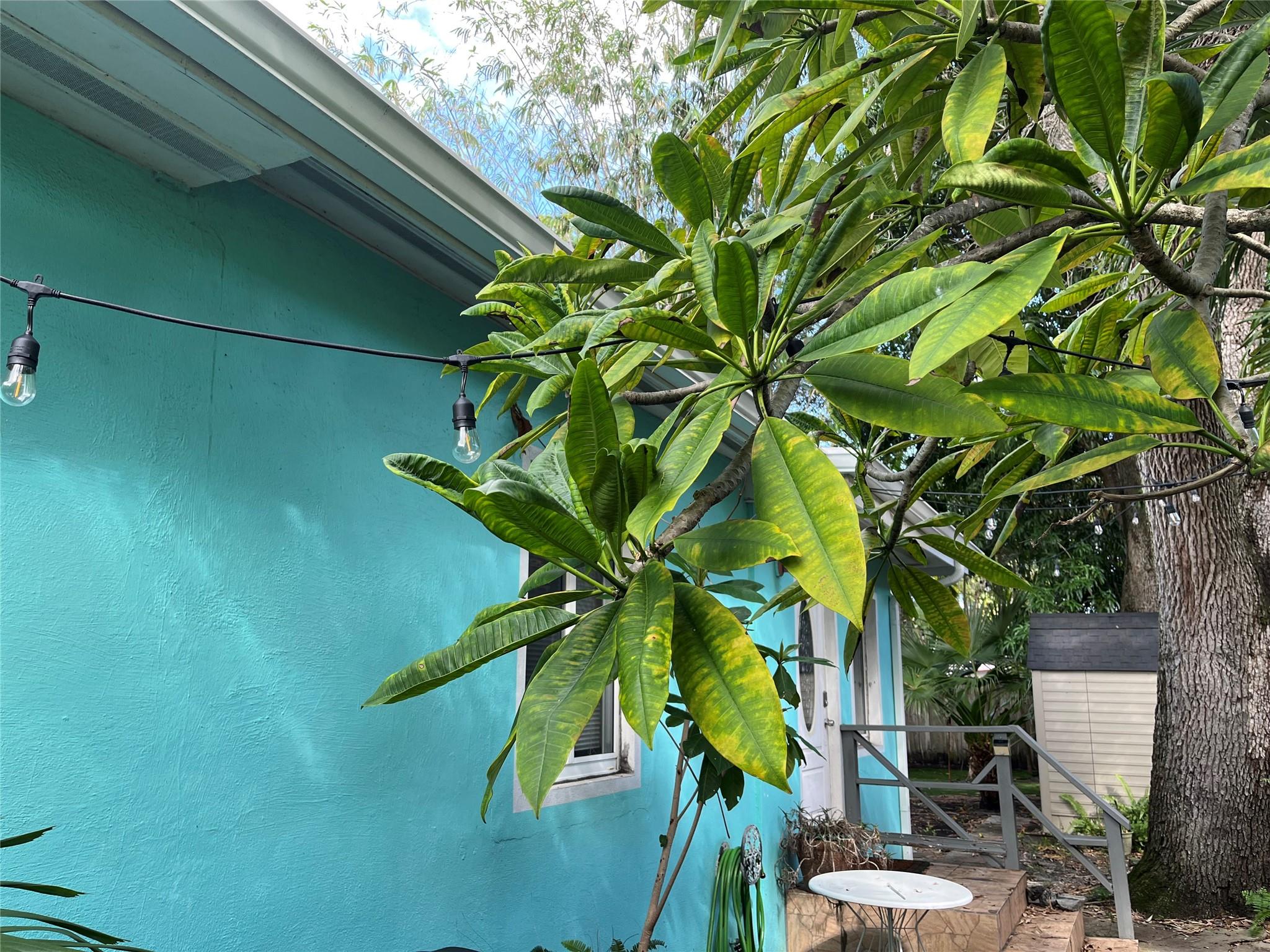 Placido Place 11-43b - Residential Lease