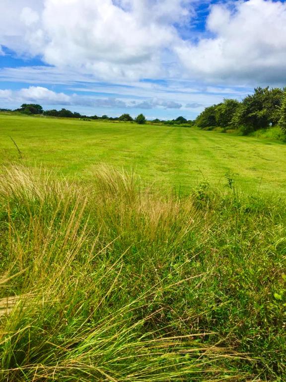 located in Panama rp Panama - Land