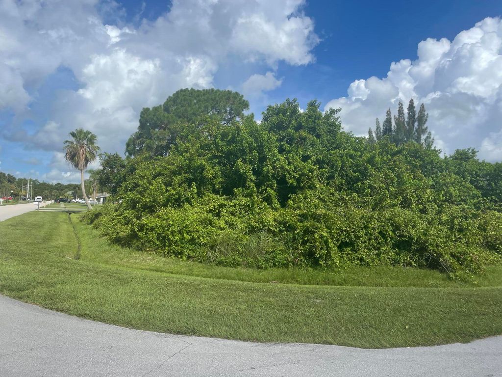 Photo of 1197 SE Petunia Avenue, Port St Lucie, FL 34952 (MLS # R10817579)
