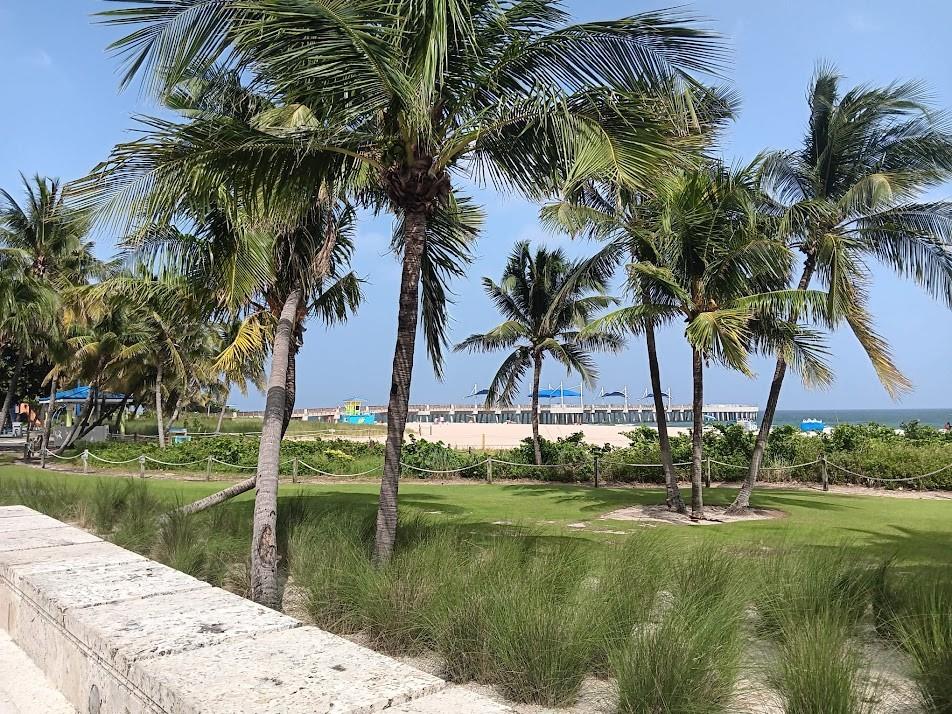 Jamaica House Condo - Residential Lease