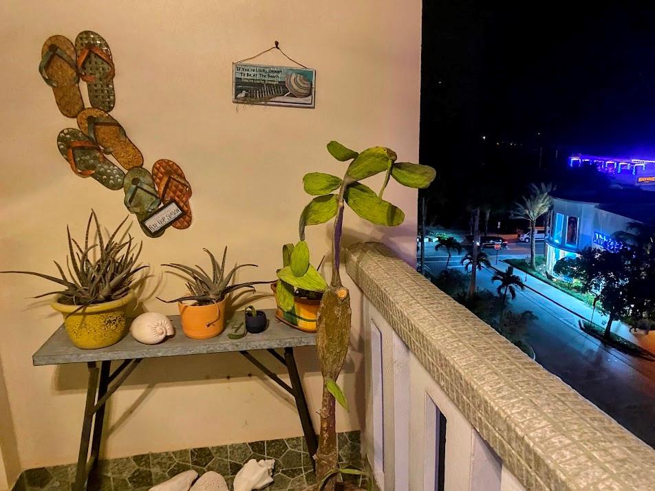 Jamaica House Condo - Residential Lease