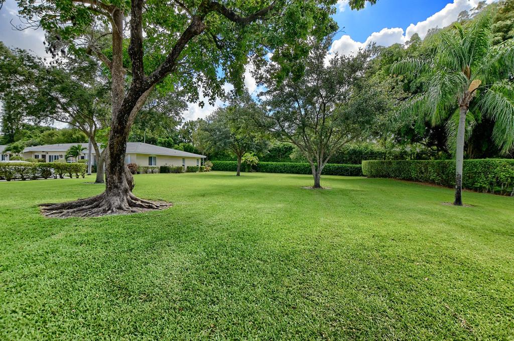 PALM GREENS - Residential