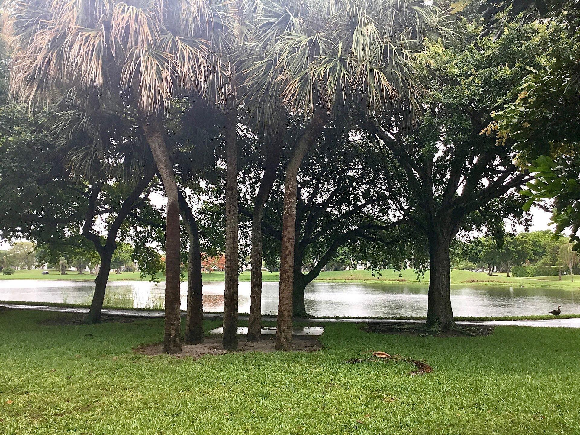 LAKES OF TARA UNIT 1 - Residential