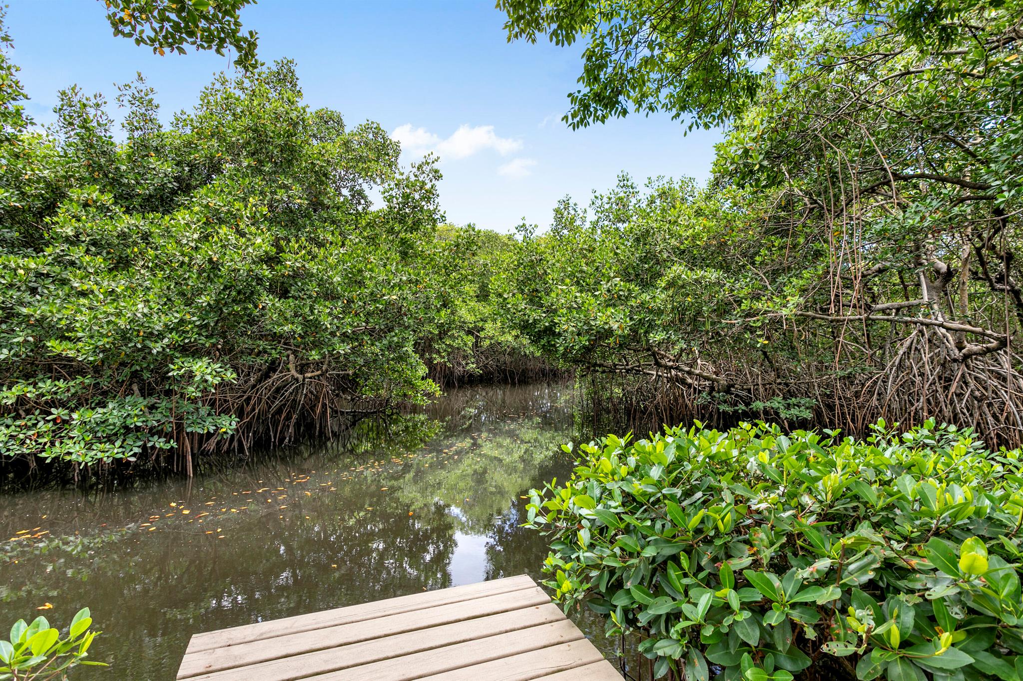 JUPITER WOODS - Residential